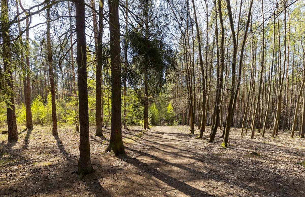Laskara Garden Apartment By Prague Forest Nové Jirny Exterior foto